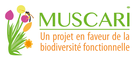 //itab-lab.fr/wp-content/uploads/2018/04/Muscari.png