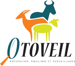 //itab-lab.fr/wp-content/uploads/2018/04/otoveil-web.jpg