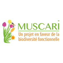 //itab-lab.fr/wp-content/uploads/2018/04/Muscari-1.png